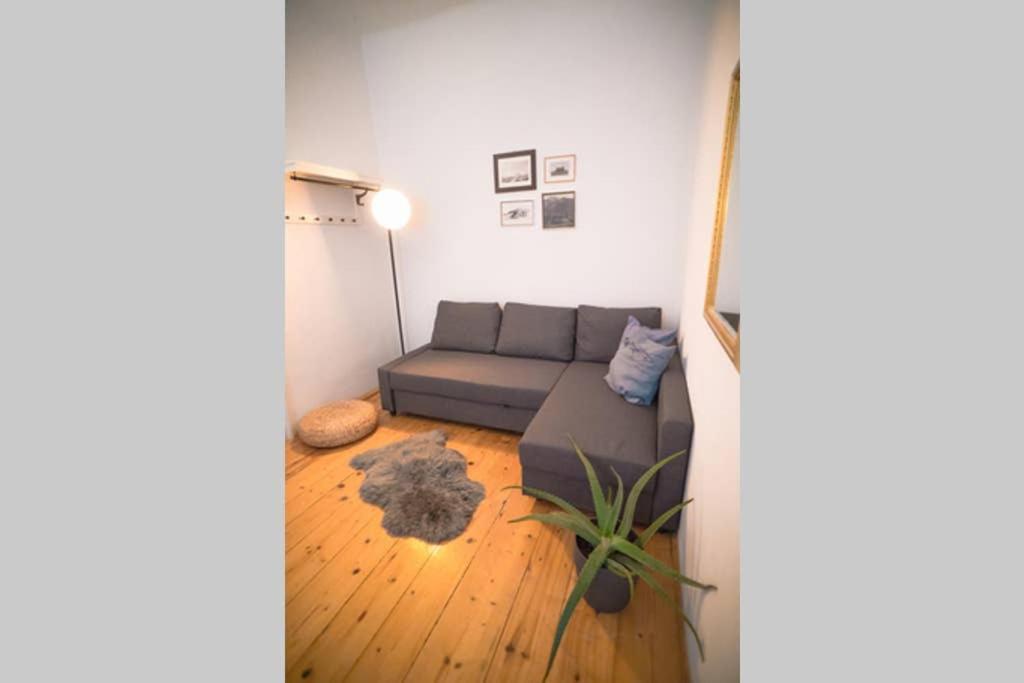Cosy And Spacious Apartment In The Heart Of Innsbruck Zewnętrze zdjęcie